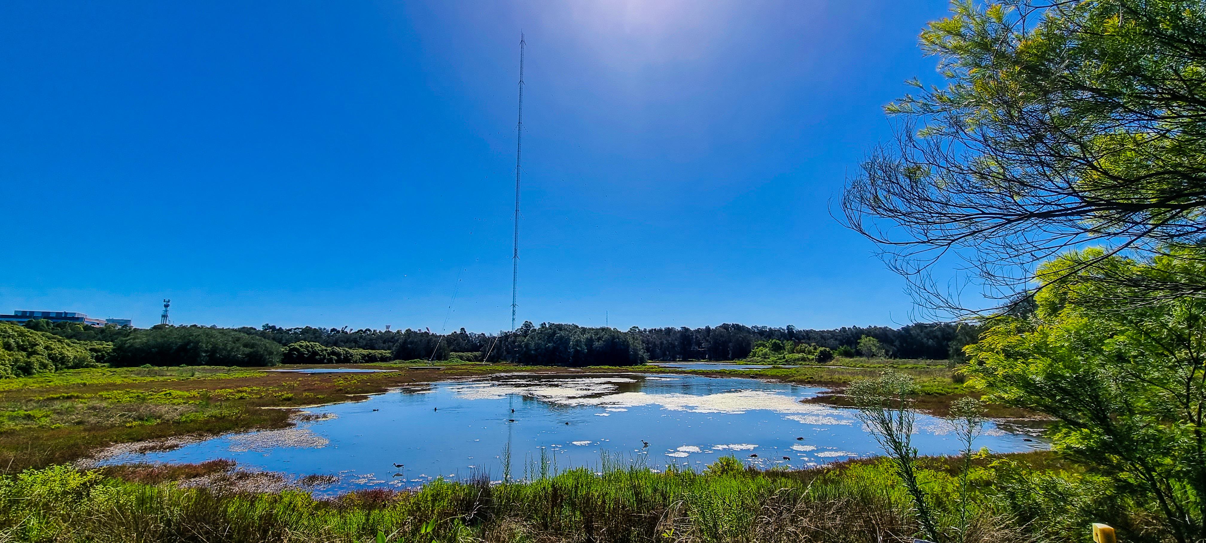 Coastal Saltmarsh